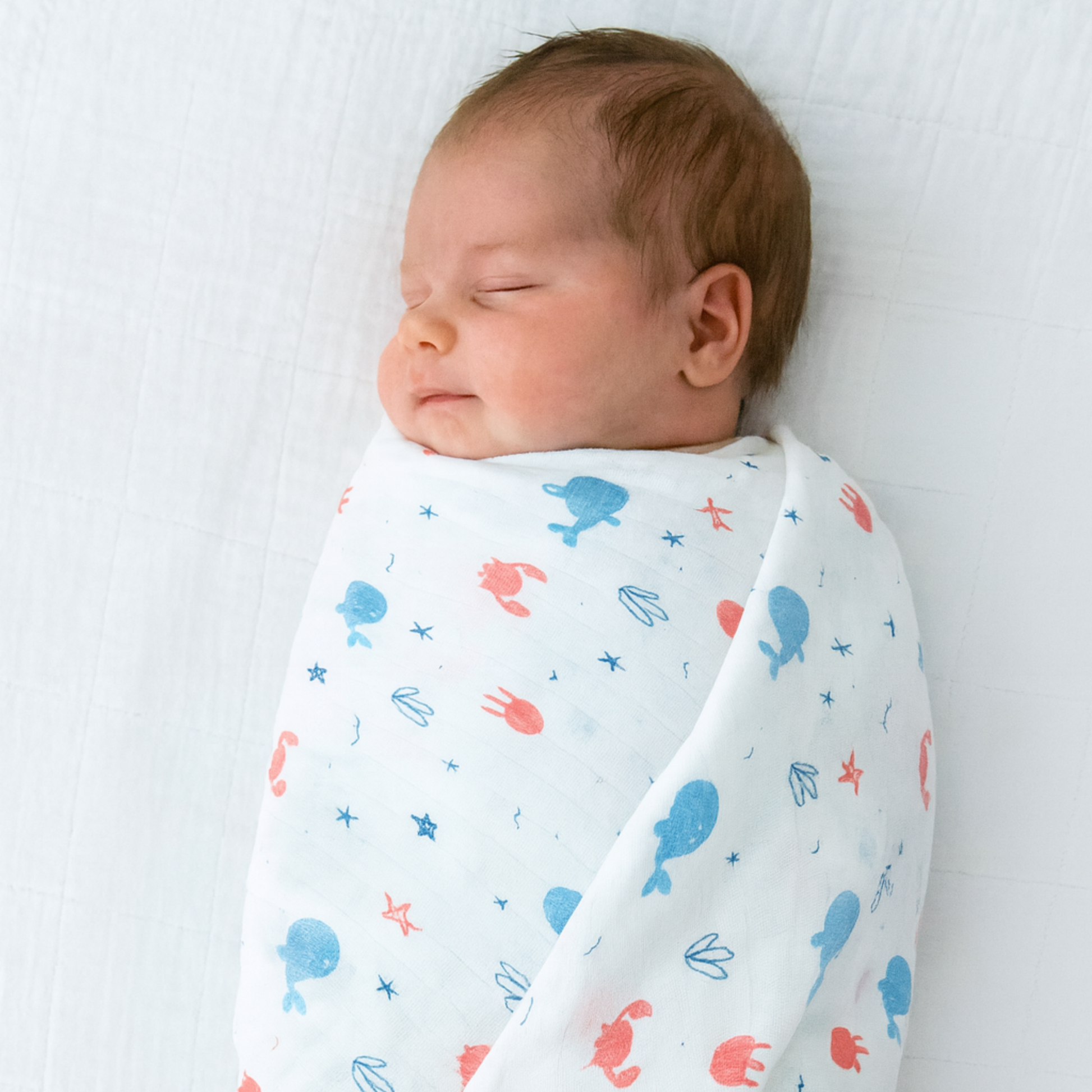 Organic 100% Cotton Baby Muslin Cloth Swaddle | 0-12 Months | 110x110 cm | Pack of 1 babee D