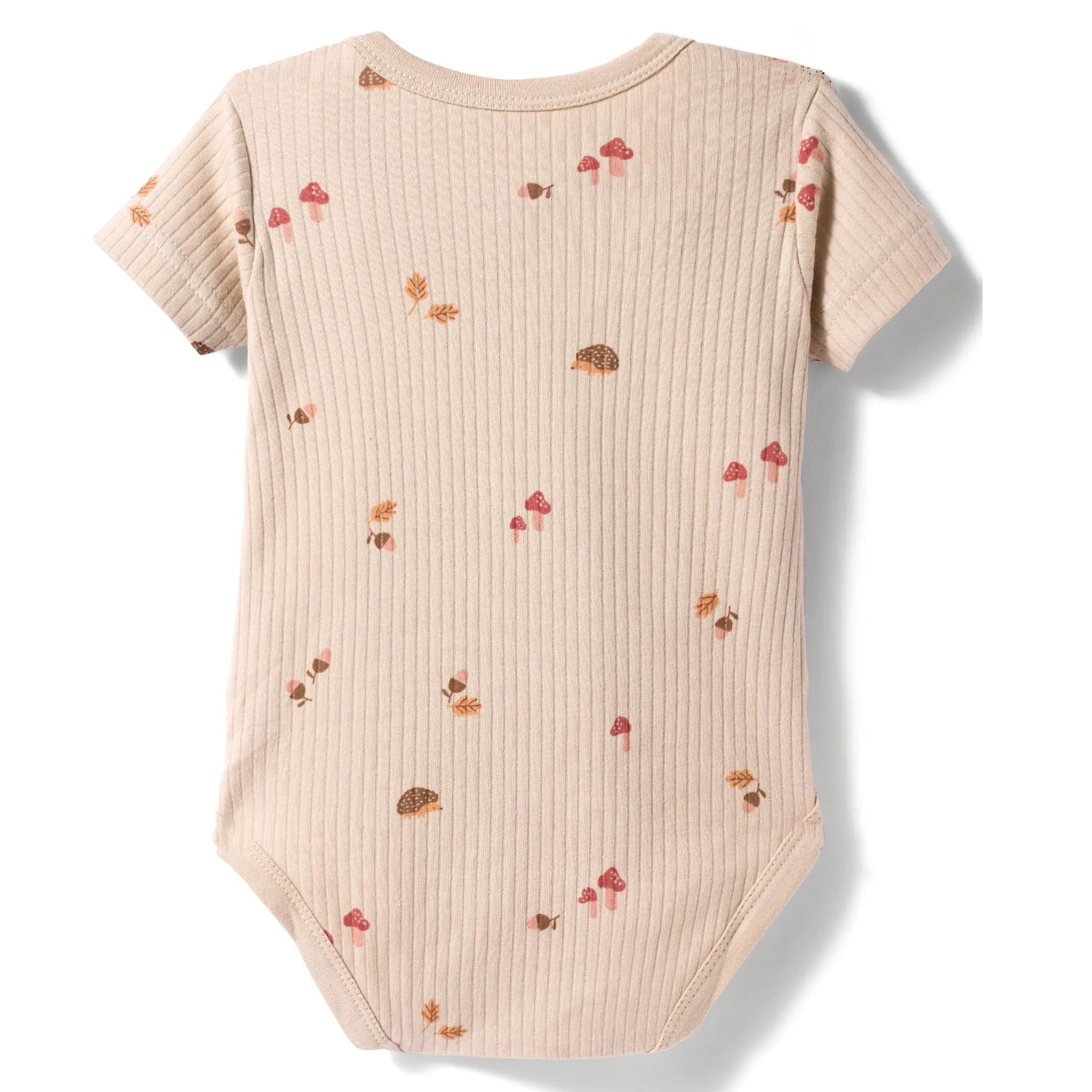 I Bears Interlock Knit Half Sleeves Onesies Combo Pack of 3 | Soft Cotton Baby Bodysuit for Newborns & Infants | Comfortable Daily Wear
