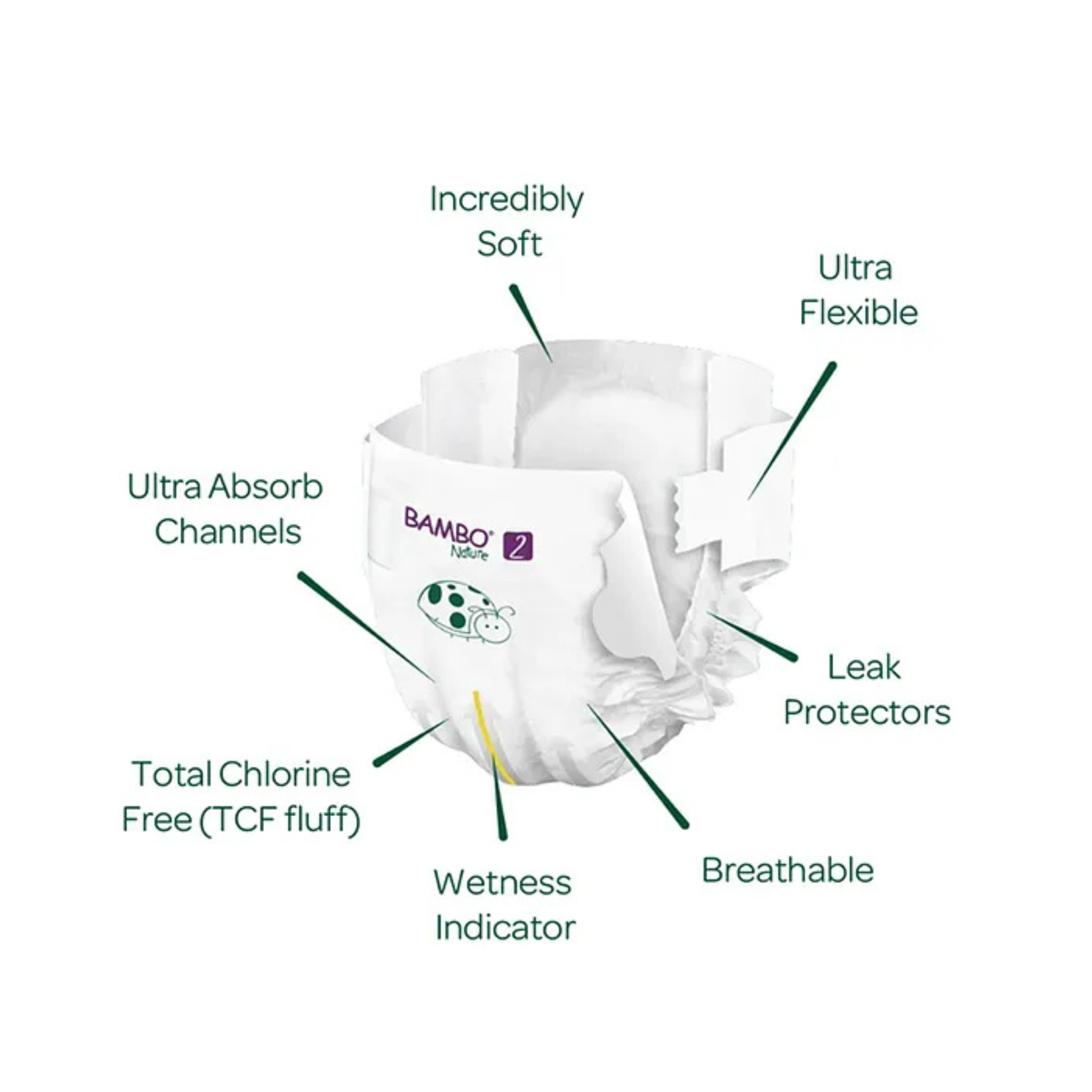 Bambo Nature Monthly Box - Skin Friendly Tape Style Diapers (size - 2) - Small (Pack Of 6 )