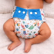 Freesize Cloth Diaper for Babies | Adjustable, Washable & Reusable Diaper with Insert Pad (3 Months to 3 Years)