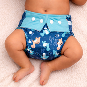 Freesize Cloth Diaper for Babies | Adjustable, Washable & Reusable Diaper with Insert Pad (3 Months to 3 Years)